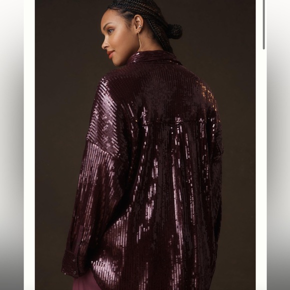 Anthropologie Pilcro Sequin Buttondown Shirt In Plum 2X - Picture 5 of 14